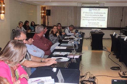 Engenheira Florestal Izabel Cristina Ceron de Paula, do CREA-BA