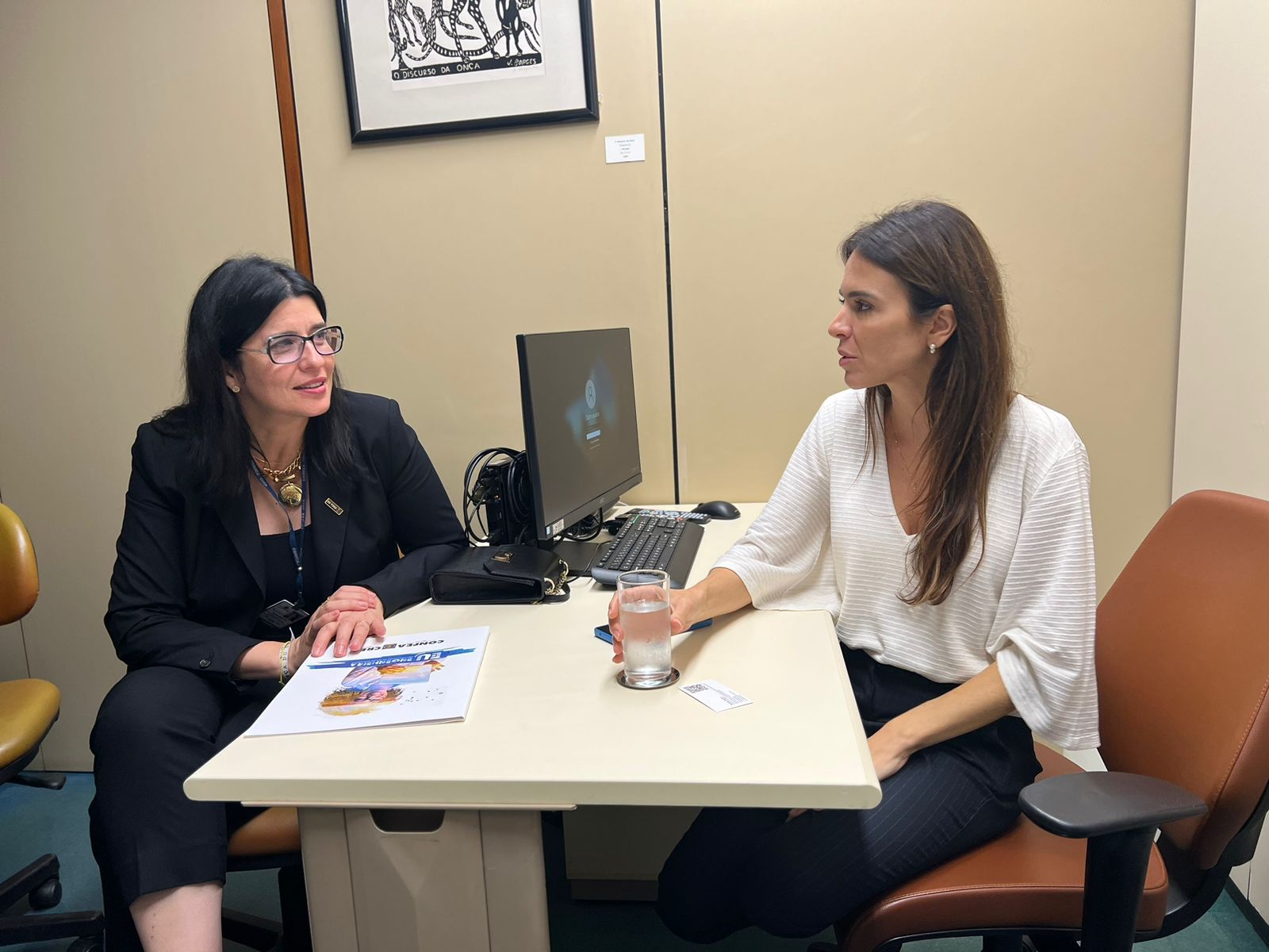 Deputada Federal Any Ortiz (Cidadania)