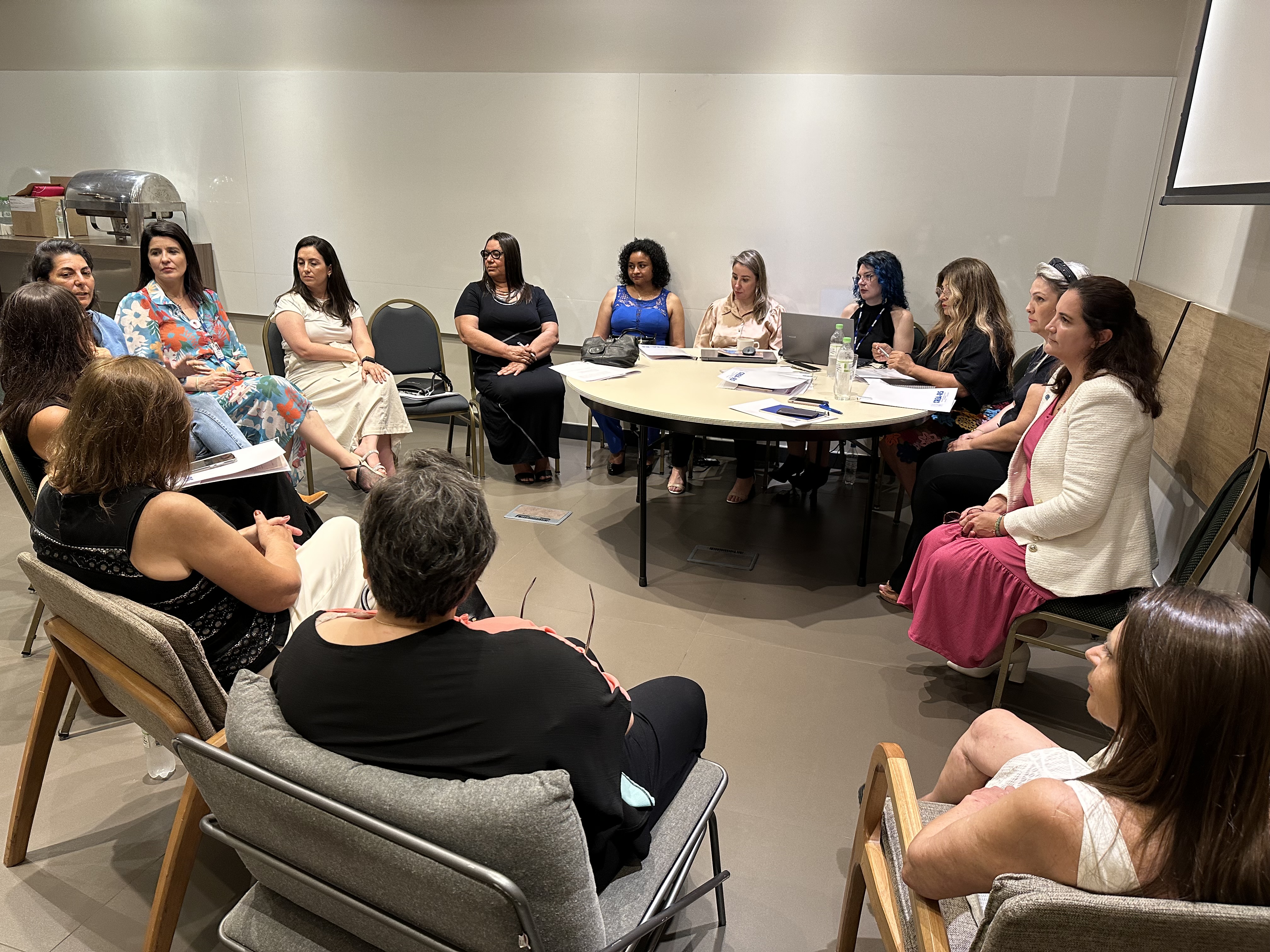 Reuni&atilde;o contou com a presen&ccedil;a da presidente do Crea-DF